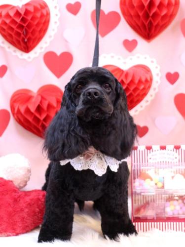 20240216そらくん